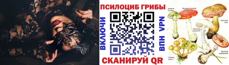 Псилоцибиновые грибы мицелий  цены наркотик  Белоозёрский 